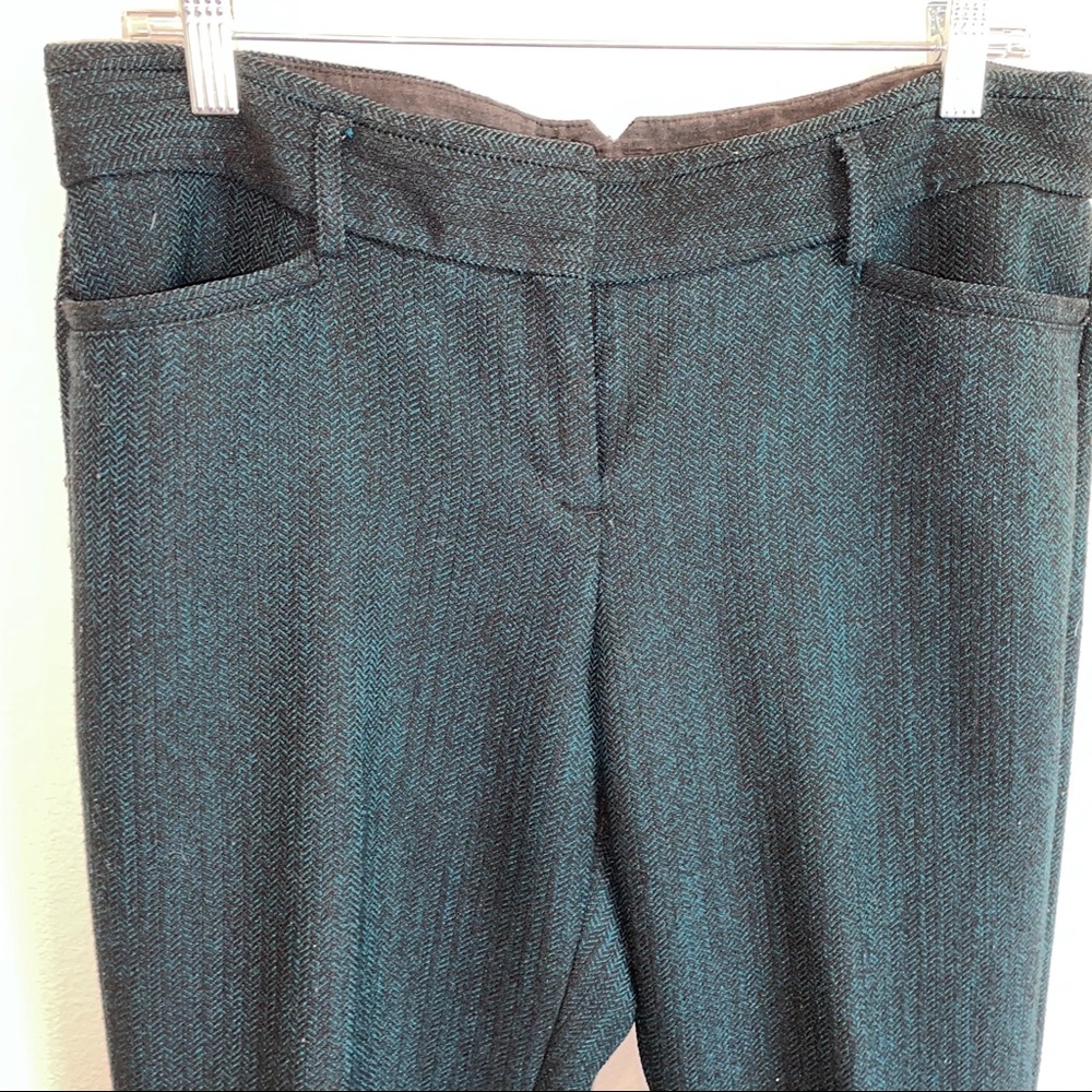 Express Columnist Trouser Pants